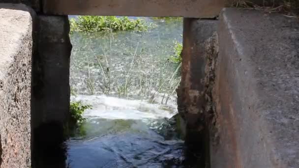 Agua Flujo Claro Aguas Montaña — Vídeos de Stock