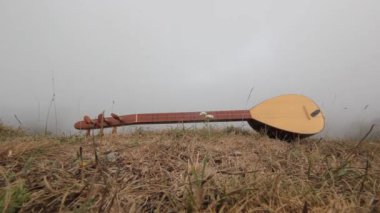 Türk müzik aleti baglama saz doğada