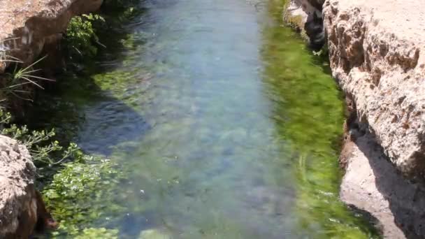清澈的流水 — 图库视频影像