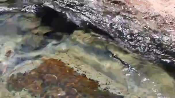 Bach Wasser Fließt Über Felsen — Stockvideo