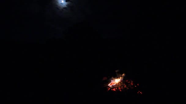 Acampar Noche Luna Llena — Vídeo de stock