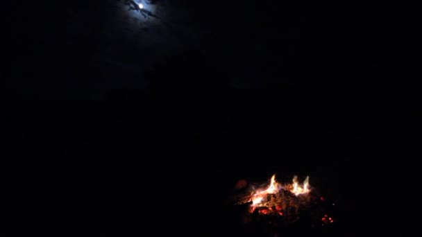 Camping Fullmåne Natt — Stockvideo