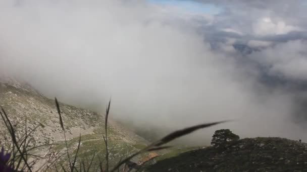 안개낀 산들의 이미지 — 비디오