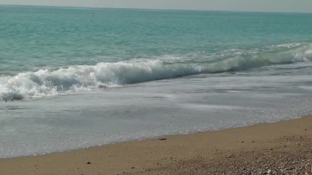 Пікантні Морські Хвилі Припливуть Святковий Фон — стокове відео