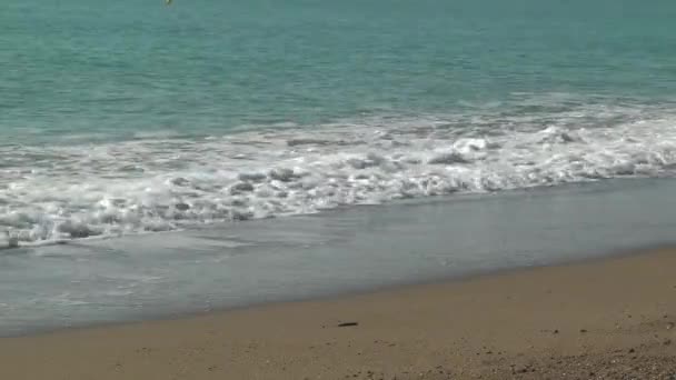 Пікантні Морські Хвилі Припливуть Святковий Фон — стокове відео