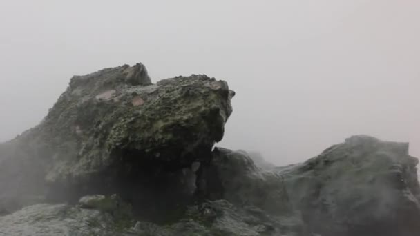 Termiskt Vatten Från Fontänen — Stockvideo