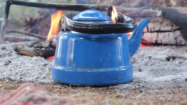 Mavi Çaydanlık Odun Ateşi — Stok video