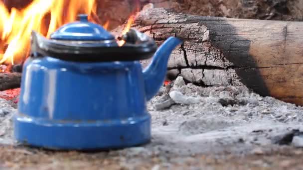 Bule Azul Fogo Madeira — Vídeo de Stock