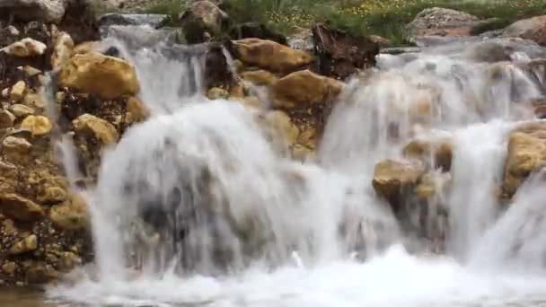 Річка Потрапила Кам Янисте Річкове Ліжко Тече Над Скелями Створюючи — стокове відео
