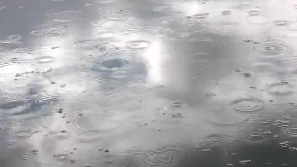 Gotas Lluvia Cayendo Sobre Lago — Vídeo de stock