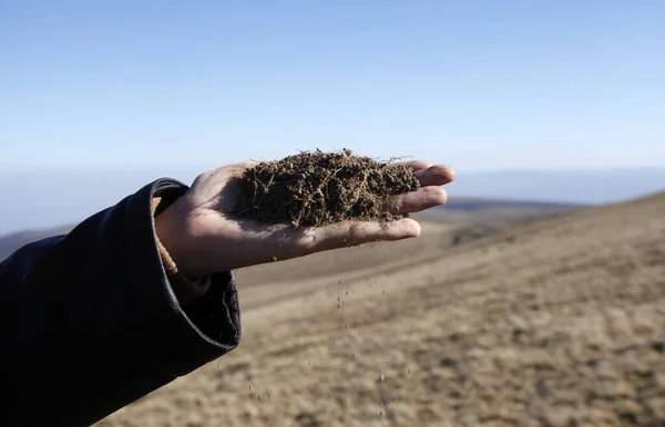 農地に土壌を持つ手 — ストック写真