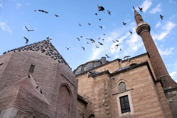 Serafettin Camisi Güvercinler Konya Türkiye — Stok fotoğraf