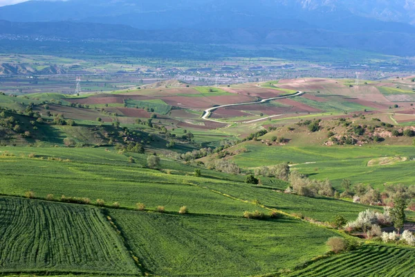 Rural Landscape Green Cultivated Fields — Stock Photo, Image