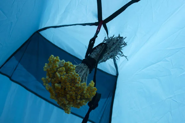 Bloemenboeket Tent Helichrysum Arenarium — Stockfoto