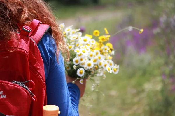 Girl Walking Nature Flowers Hand Beautiful Nature — Stock Photo, Image