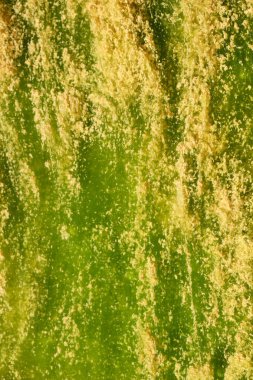 Yeşil ve sarı renkler. Su alglerle kirlenmiş.. 