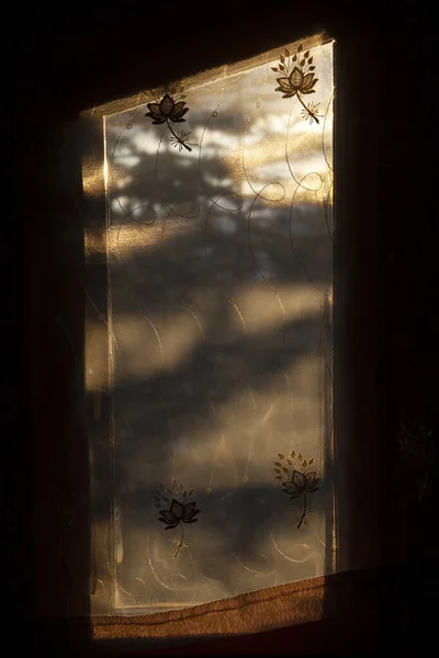 Квітковий Візерунок Тюль Завіси Денного Світла — стокове фото