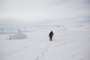 Karda yürüyen dağcı.