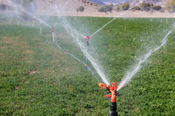 Bewässerungsanlagen Landwirtschaftliche Wasserregner Bewässerungsanlagen Nutzpflanzen Feld Klee Feld — Stockfoto