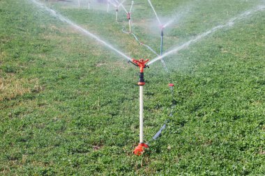 Sulama Ekipmanları, Tarım Su Fıskiyeleri Sulama Tarım Bitkileri Tarlası - Yonca Tarlası