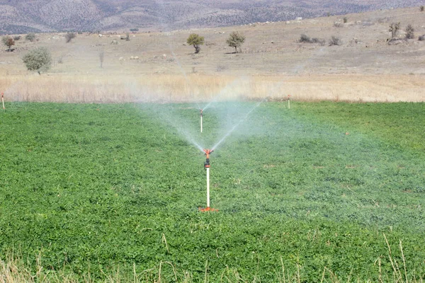 Equipo Riego Aspersores Agua Agrícola Riego Granja Plantas Campo Cultivo —  Fotos de Stock