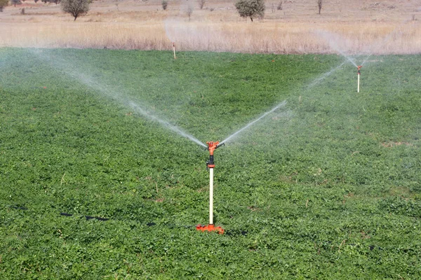 Bewässerungsanlagen Landwirtschaftliche Wasserregner Bewässerungsanlagen Nutzpflanzen Feld Klee Feld — Stockfoto