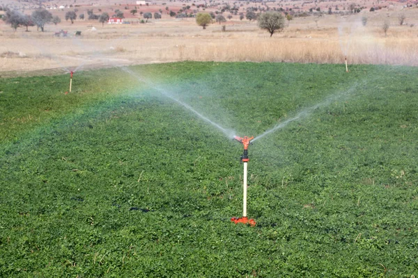 Irrigation Equipment, Agricultural Water Sprinklers Watering Farm Plants Crop Field - Clover Field