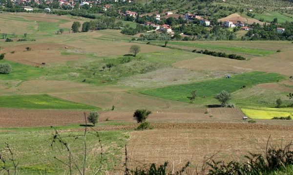 Amasya Zwarte Zeegebied Het Gelegen Het Centrale Zwarte Zeegebied — Stockfoto