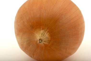 Taze soğan soğanı beyaza izole edilmiş.. 