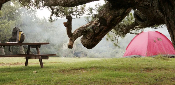 Acampar Floresta Actividades Fim Semana — Fotografia de Stock