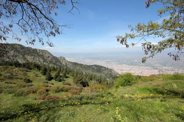 beautiful nature and city of manisa