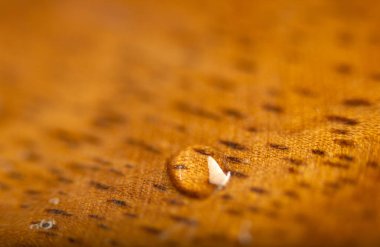 Islak ahşap bir yüzey..