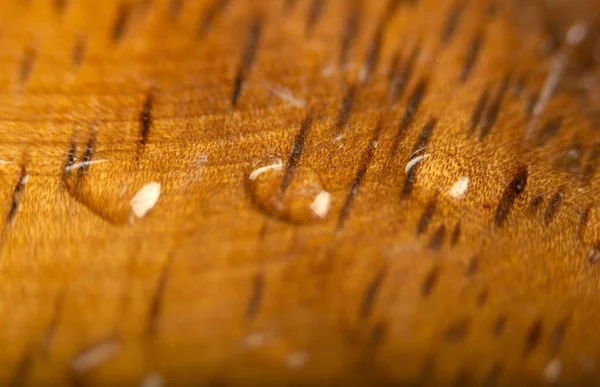 Мокрые Деревянные Поверхности — стоковое фото