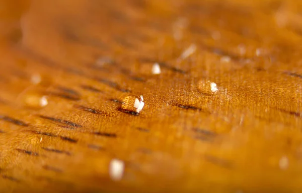 Superficie Madera Húmeda Texturizado Fondos —  Fotos de Stock