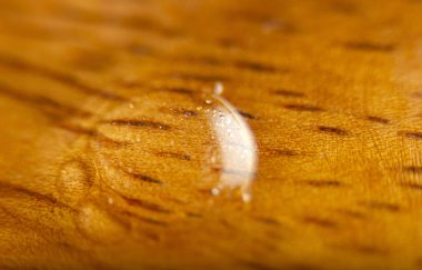 Islak ahşap bir yüzey..