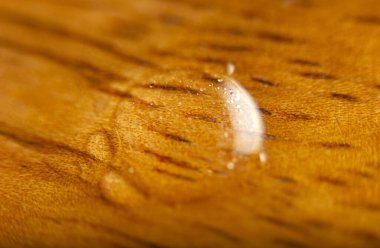 Islak ahşap bir yüzey..