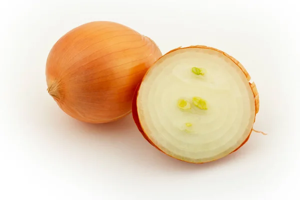 Fresh Onion Bulb Isolated White — Stock Photo, Image