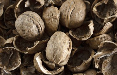 ceviz kabuğu ve ceviz dokusu arkaplanı