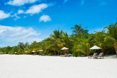 Şezlong ve şemsiyeler Hint Okyanusu, Maldivler Island ile güzel kumlu plaj