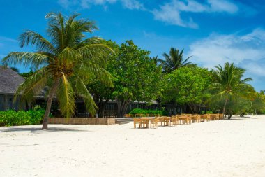 Palmiye ağaçları ve tropik bitkiler tarafından gölgeli ıssız Hint Okyanusu'nun kumlu plajı ve tropikal restoranın, güzel manzara