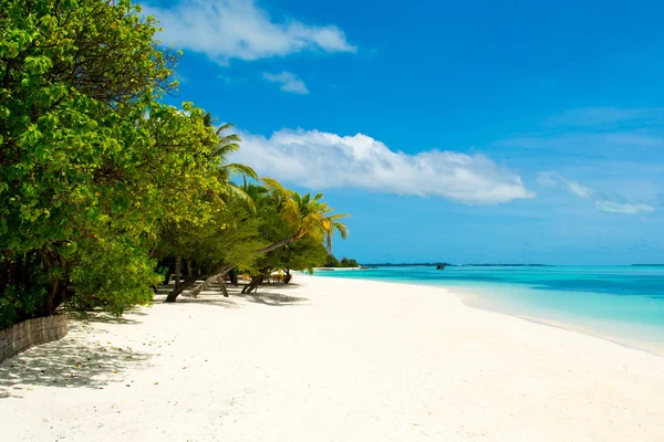 Hermosa Playa Arena Océano Índico Maldivas Isla — Foto de Stock