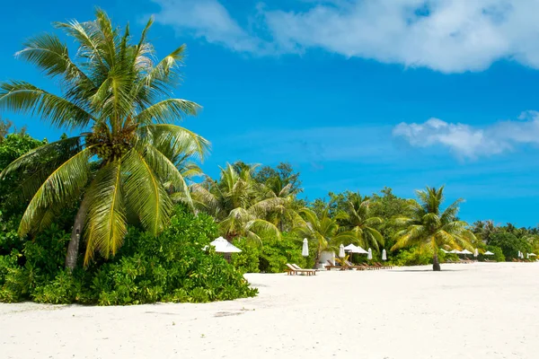 Şezlong ve şemsiyeler Hint Okyanusu, Maldivler Island ile güzel kumlu plaj