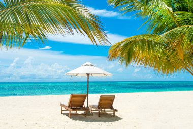 Şezlong ve şemsiyeler Hint Okyanusu, Maldivler Island ile güzel kumlu plaj