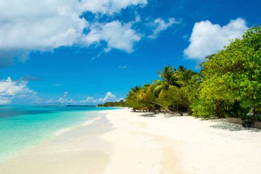 Palmiye ağaçları ve tropik bitkiler tarafından gölgeli ıssız Hint Okyanusu'nun kumlu plaja güzel manzara