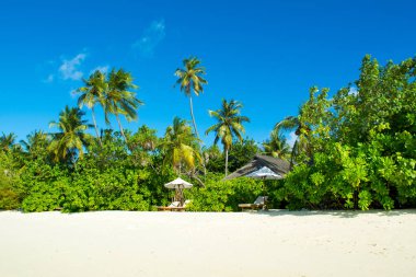 Şezlong ve şemsiyeler Hint Okyanusu, Maldivler Island ile güzel kumlu plaj