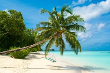 Palmiye ağacı Hint Okyanusu kıyısında swings ile tropikal peyzaj