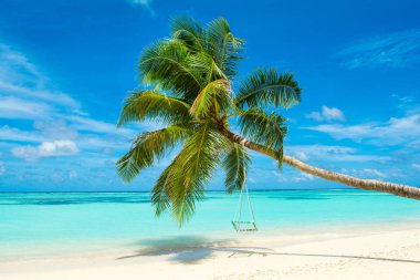 Palmiye ağacı Hint Okyanusu kıyısında swings ile tropikal peyzaj