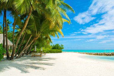 Palmiye ağaçları ve tropik bitkiler tarafından gölgeli ıssız Hint Okyanusu'nun kumlu plaja güzel manzara