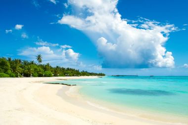 Palmiye ağaçları ve tropik bitkiler tarafından gölgeli ıssız Hint Okyanusu'nun kumlu plaja güzel manzara