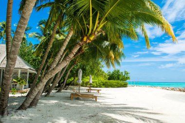 Palmiye ağaçları ve tropik bitkiler tarafından gölgeli ıssız Hint Okyanusu'nun kumlu plaja güzel manzara